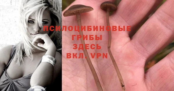стаф Лагань