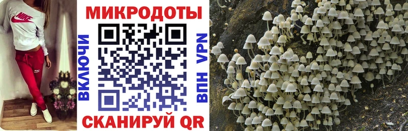 Псилоцибиновые грибы мицелий  Лениногорск 