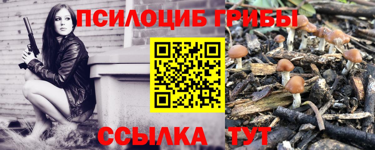 Псилоцибиновые грибы GOLDEN TEACHER  Лениногорск  Галлюциногенные грибы Psilocybe 
