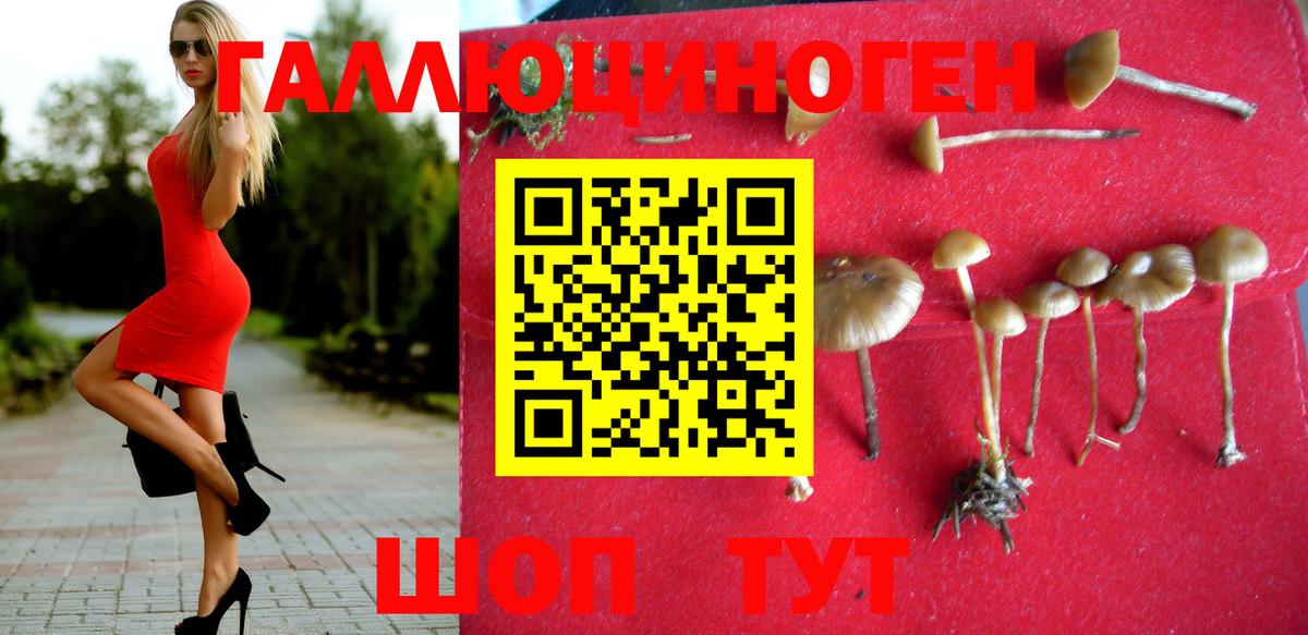 что такое наркотик  Галлюциногенные грибы Cubensis  Вход с VPN  Лениногорск 