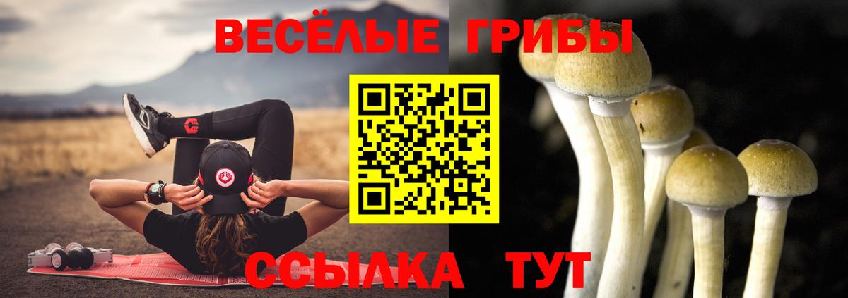 Псилоцибиновые грибы Cubensis Лениногорск